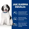 HILL'S PRESCRIPTION DIET Canine c/d Multicare sausas šunų maistas su vištiena 12 kg