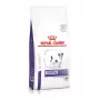 Sausas šunų ėdalas Royal Canin Adult Small Dog 2 kg – paukštiena, 25% baltymų, 16% riebalų, dantų priežiūra