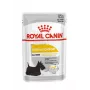 Royal Canin CCN Dermacomfort Loaf drėgnas maistas šunims, 12 x 85 g