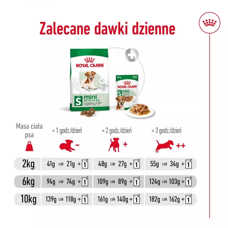 ROYAL CANIN Mini Ageing Adult +12 – sausas šunų ėdalas – 3,5 kg