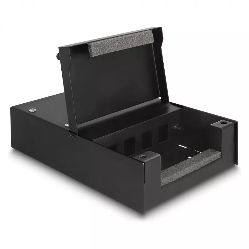 Paskirstymo dėžutė DeLOCK 66235 4 prievadai Metalinė Juoda