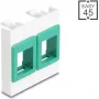 Sieninis 45x45 mm modulinis rėmelis DELOCK Easy 2x Keystone laikikliai baltas/žalias
