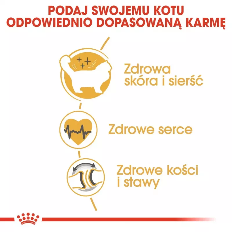 Royal Canin FBN Ragdoll Adult sausas kačių pašaras, 2 kg