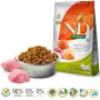 Farmina N&D Pumpkin Adult Mini Boar & Apple sausas ėdalas šunims, 7 kg