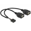 Vidinis USB kabelis DeLOCK 83292 0,2 m Motina-Motina
