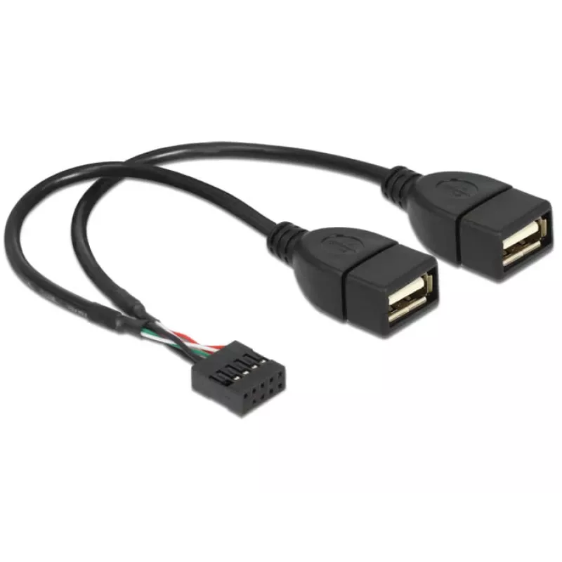 Vidinis USB kabelis DeLOCK 83292 0,2 m Motina-Motina