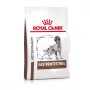 ROYAL CANIN Gastrointestinal sausas šunų ėdalas 2kg
