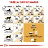 Royal Canin FBN Maine Coon Adult sausas maistas katėms, 4 kg