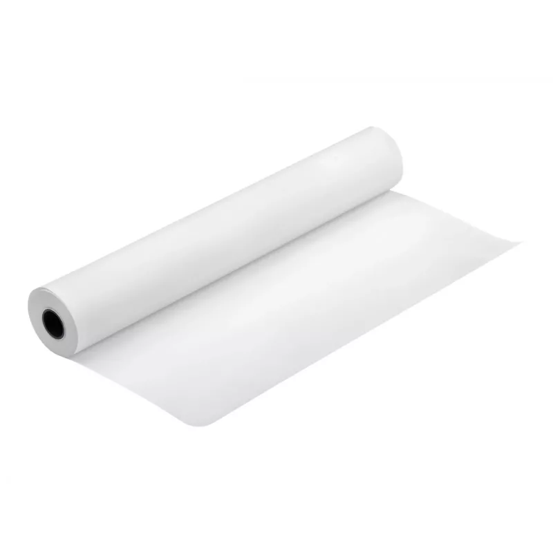 Epson Production Canvas Matte, 610 mm x 12,2 m, matinė drobė