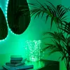 LED girlianda Twinkly TWD200STP-TEU įvairiaspalvė vidaus juostelė, 5 cm tarpai, IP20, skaidrus kabelis
