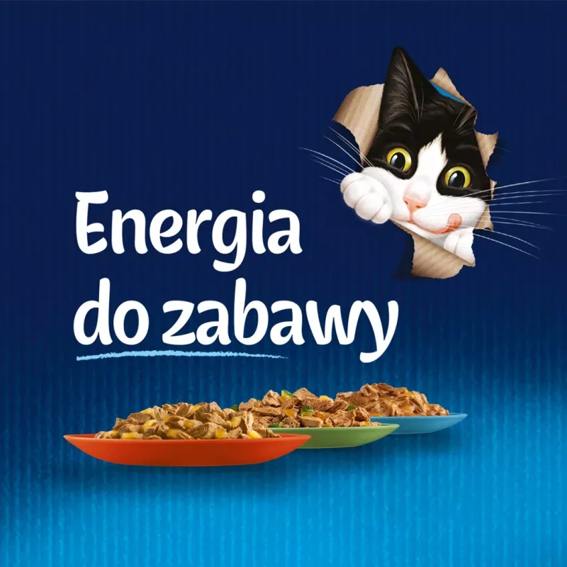Šlapias kačių maistas Felix PURINA maišelyje 85 g – vištienos skonis, suaugusioms katėms