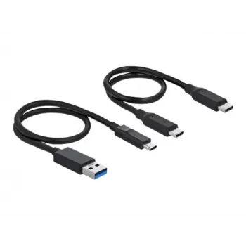 Delock M.2 Docking Station - Schnittstellenadapter - M.2 NVMe Card - USB 3.2 (Gen 2) - Silber