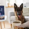 ADDVENA Power of Nature Adult Medium/Large Ėriena - sausas šunų ėdalas - 10kg