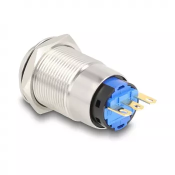 Mygtukų skydelis DeLOCK 20985 sidabrinis 230V 3A