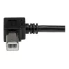 StarTech.com 2 m USB 2.0 A į dešinį kampą B laidas - M/M