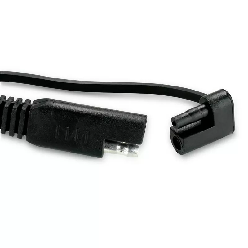 Automobilio akumuliatoriaus įkroviklis everActive CBC1 6V/12V
