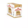 Royal Canin Chihuahua maistas šunims, 12 x 85 g pakuotė