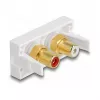 DeLOCK Easy 45 kištukinis lizdas 2 x RCA baltas ABS