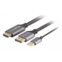 Lanberg CA-HDDP-20CU-0018-BK vaizdo kabelio adapteris 1,8 m DisplayPort HDMI + USB juodas, sidabrinis