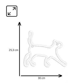 Dekoratyvinė neoninė lemputė MANTA SNL70WH Style Neon Lights CAT 2 balta 70 cm