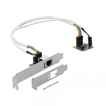 DeLOCK Mini PCIe I/O PCIe pusės dydžio 1 x Gigabit LAN Low Profile – tinklo adapteris – PCIe Half Mini Card – Gigabit Ethernet x 1 (95265)