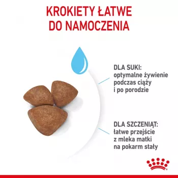 Sausas šunų ėdalas Royal Canin Starter Mother & Babydog 1 kg — Vištiena, 30% baltymų, 22% riebalų