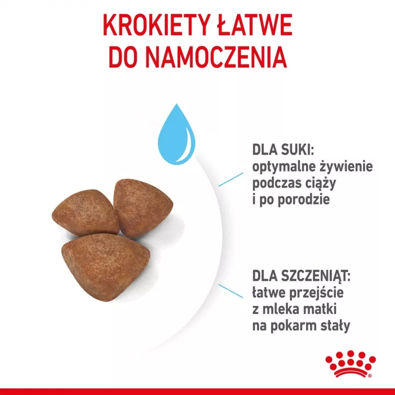 Sausas šunų ėdalas Royal Canin Starter Mother & Babydog 1 kg — Vištiena, 30% baltymų, 22% riebalų