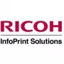 Ricoh 413013 segtuvų kasetė