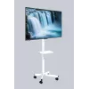 Gembird mobilus TV stovas su ratukais 32–55 col., baltas, VESA 100x100–400x400, 30 kg