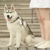 PETKIT Poop Bags – biologiškai skaidomi šunų išmatų maišeliai, 15 vnt.