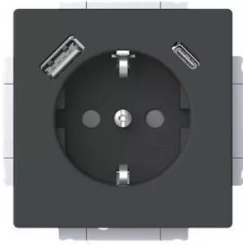 Busch-Jaeger SCHUKO kištukinis lizdas su USB-A+C 20 EUCB2USBAC-885 (2CKA002011A6312)
