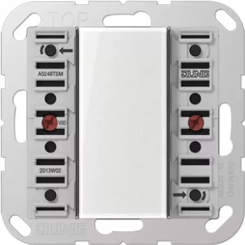 Jung Touch Sensor Module 4-jų kanalų AC/DC24V 4-k. 8Sp. A 5248 TSM (A5248TSM)