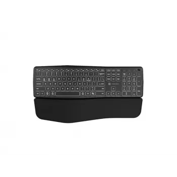 NATEC PORIFERA klaviatūra biurui ir namams belaidė Bluetooth QWERTY US International juoda