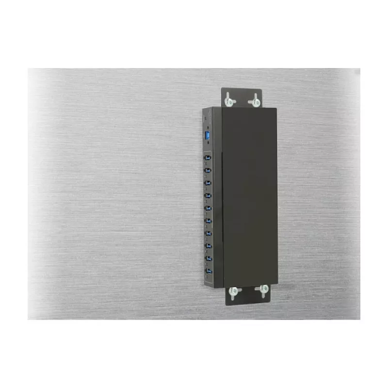 USB mazgas DeLOCK 63919, 10 prievadų, USB 3.2 Gen 1, metalinis korpusas