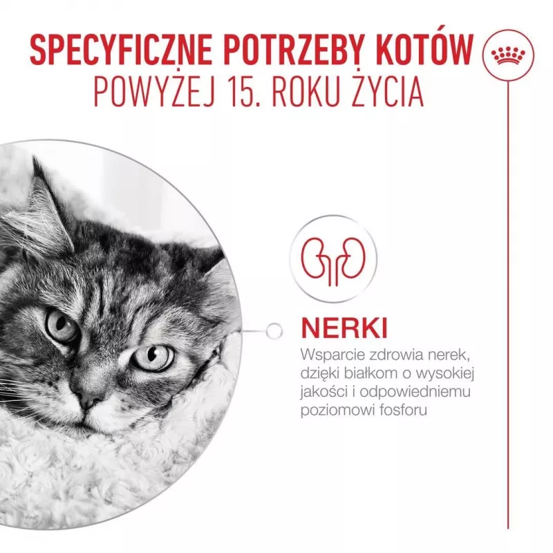 ROYAL CANIN Ageing 15+ sausas kačių pašaras 4 kg