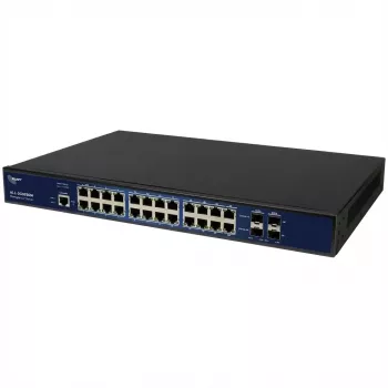 Tinklo jungiklis ALLNET ALL-SG8626M 22+4P