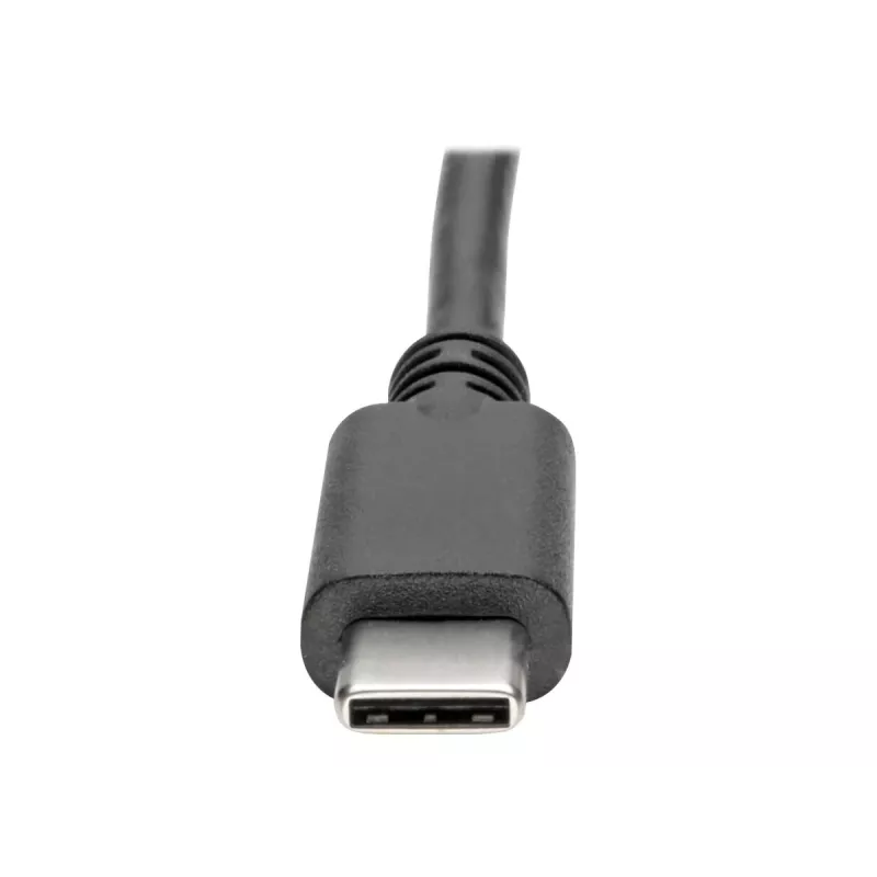 Tripp Eaton Tripp Lite Series USB-C į HDMI vaizdo adapteris keitiklis 4Kx2K M/F
