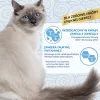 INABA Churu Skin&Coat vištienos receptas - kačių skanėstai - 4x14 g