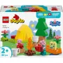 LEGO DUPLO 10452 Kempingo išvyka