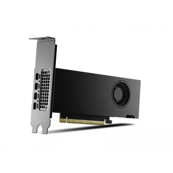 PNY NVIDIA RTX 2000 Ada Generation 16 GB GDDR6 ECC, Low Profile, PCIe 4.0 x16, 4x Mini DP 1.4a, HDMI 2.0