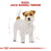 ROYAL CANIN Jack Russell Adult - Sausas šunų maistas - 7,5 kg