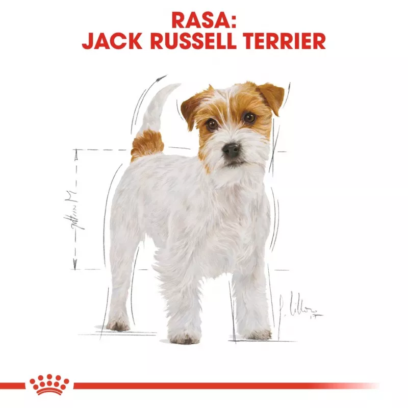 ROYAL CANIN Jack Russell Adult - Sausas šunų maistas - 7,5 kg