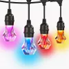 Išmanusis sodo apšvietimas Nanoleaf NF084K02-40SLO