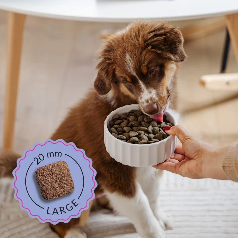 ADDVENA Boosted by superfoods Junior Medium/Large Beef - sausas šunų ėdalas - 10kg