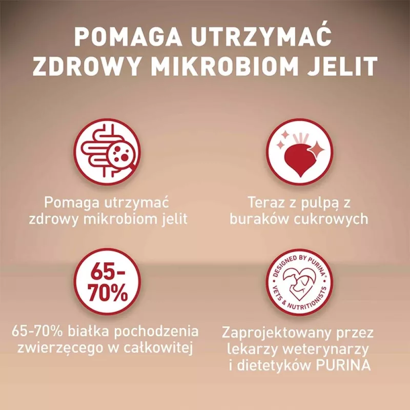 Sausas šunų ėdalas Purina Nestle Mini Adult Jautiena su Ryžiais 800 g