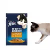 Šlapias kačių ėdalas Purina Felix aukštas baltymų kiekis 100 g pakelis – žuvis ir vištiena, suaugusioms katėms, pakuotė po 120 vnt.