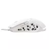 Pelytė White Shark GM-5016 Ector White USB