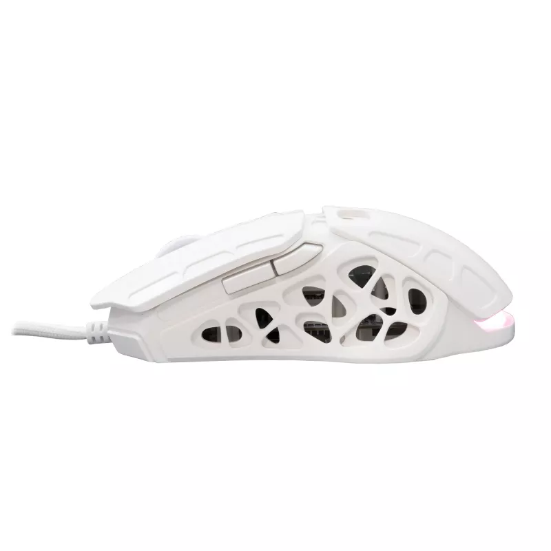 Pelytė White Shark GM-5016 Ector White USB