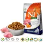 FARMINA N&D GF PUMPKIN DOG ĖRIENA IR MĖLYNĖS ŠUNIUKAMS MEDIUM/MAXI 12kg