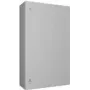 Elektros spinta Rittal AX 1090.000, plieninė, IP66, 600×250×1000 mm